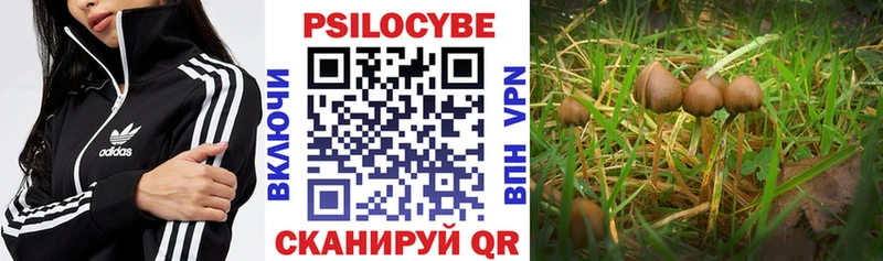 Псилоцибиновые грибы Magic Shrooms  Елизаветинская 
