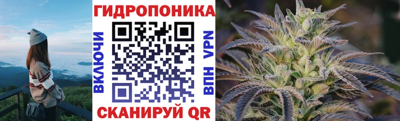 MEGA ссылка  Елизаветинская  Конопля индика 